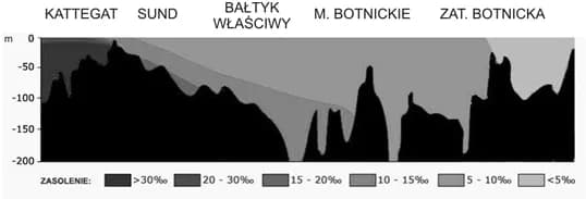 Jakie jest zasolenie Bałtyku i co wpływa na jego zmienność? Jakie jest zasolenie Bałtyku i co wpływa na jego zmienność?