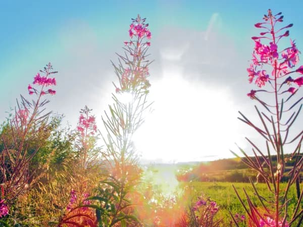 Jaka pogoda w Ustroniu - sprawdź, co przyniesie dzisiaj dzień Jaka pogoda w Ustroniu - sprawdź, co przyniesie dzisiaj dzień