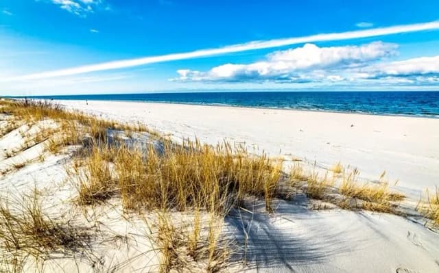 Czy w Gdańsku jest morze? Odkryj piękne plaże nad Bałtykiem Czy w Gdańsku jest morze? Odkryj piękne plaże nad Bałtykiem