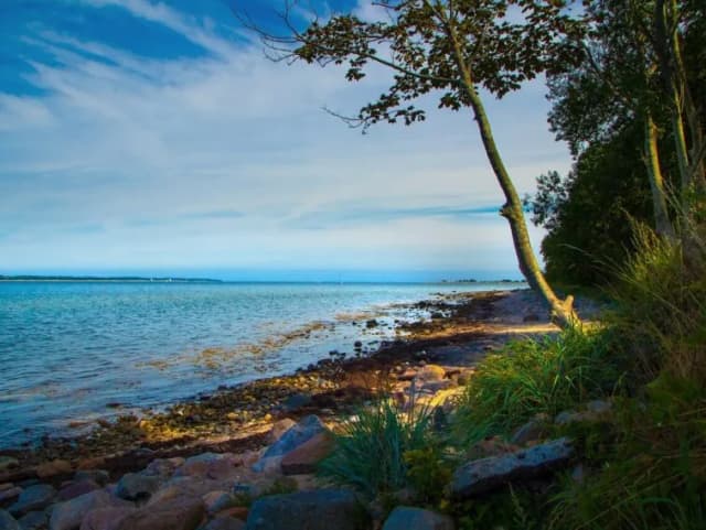 Ciekawe atrakcje w Krynicy Morskiej, które musisz zobaczyć Ciekawe atrakcje w Krynicy Morskiej, które musisz zobaczyć