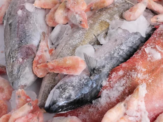 Czy ryba to owoc morza? Odkryj zaskakujące różnice i fakty Czy ryba to owoc morza? Odkryj zaskakujące różnice i fakty